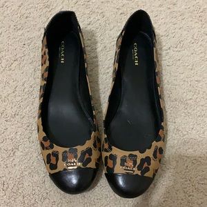 Coach Chelsea Flats in Leopard Print